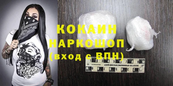 2c-b Ельня