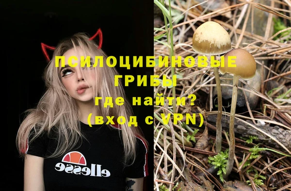 марки nbome Аркадак