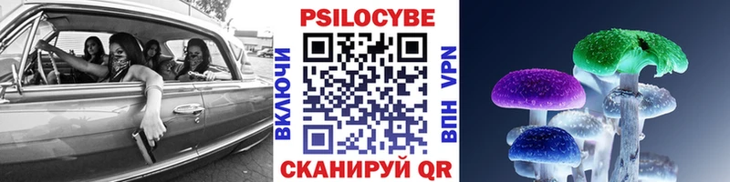 Псилоцибиновые грибы мицелий  маркетплейс клад  Осинники  купить  